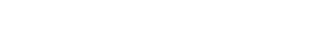 Visulon